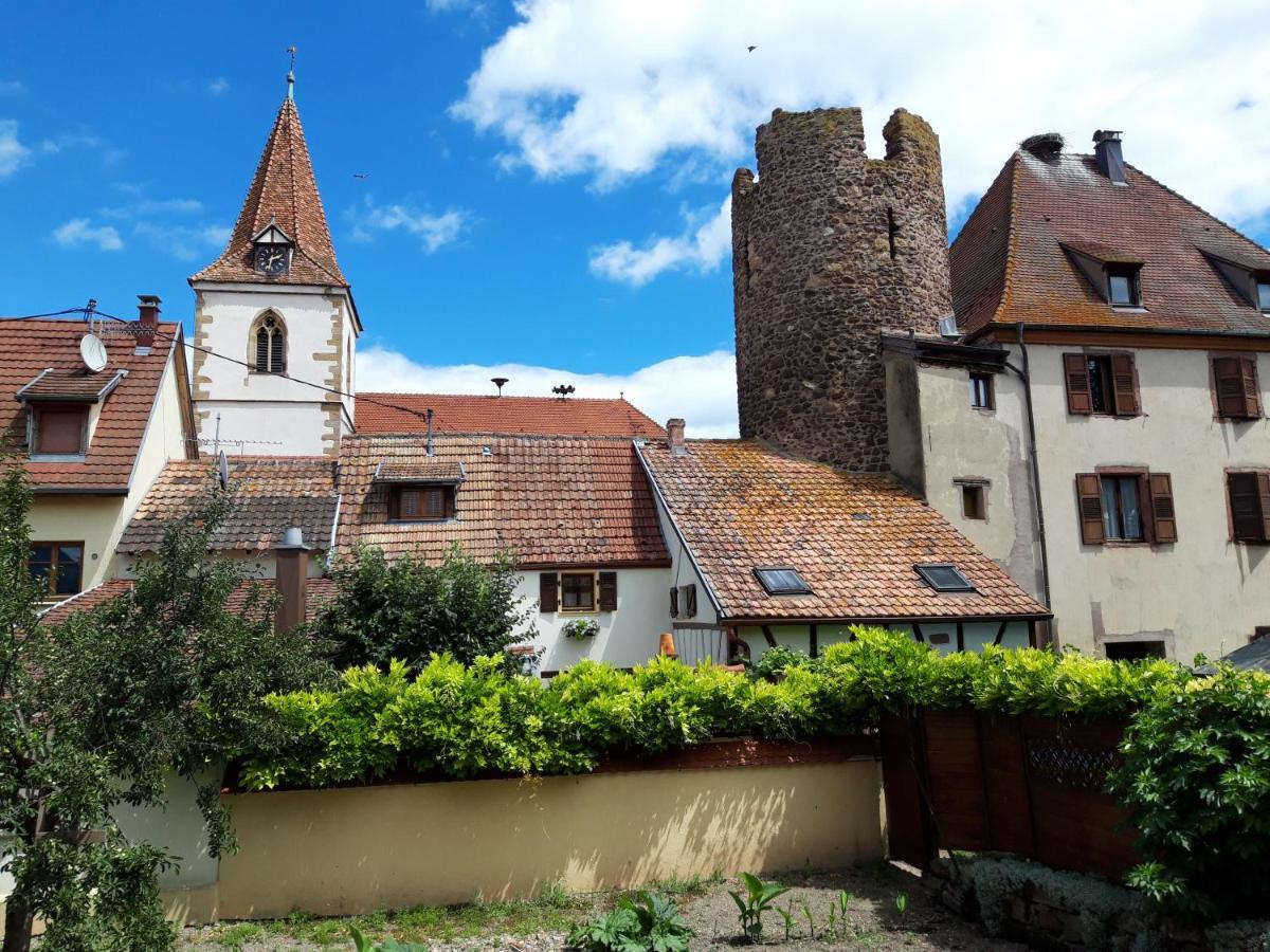 "La Vigne Dort" Cocon Romantique Herrlisheim-pres-Colmar Luaran gambar